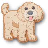 b'Golden Doodle Puppy Jibbitz Shoe Charm - Crocs'