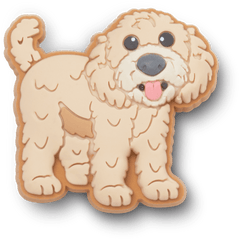 b'Golden Doodle Puppy Jibbitz Shoe Charm - Crocs'