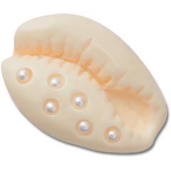 Pearl Puka Shell Jibbitz™ charms - Crocs