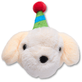 Record Your Own Sound Birthday Jibbitz™ charms - Crocs