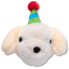 Record Your Own Sound Birthday Jibbitz™ charms - Crocs