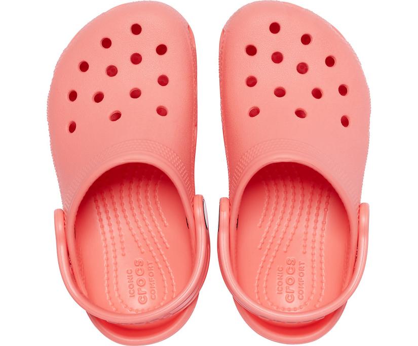 Girls/Boys Kids’ Classic Clog Fresco | Crocs Clogs