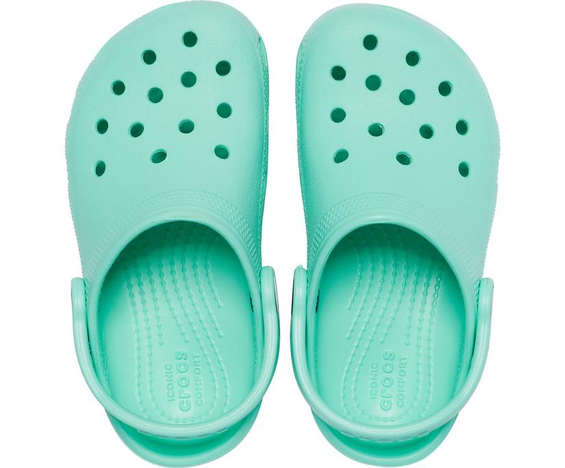 Girls/Boys Kids’ Classic Clog Pistachio | Crocs Clogs