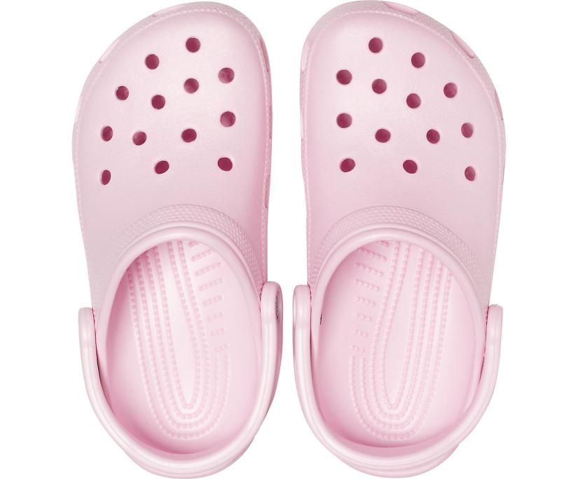 Women/Men Classic Clog Ballerina Pink | Crocs Clogs