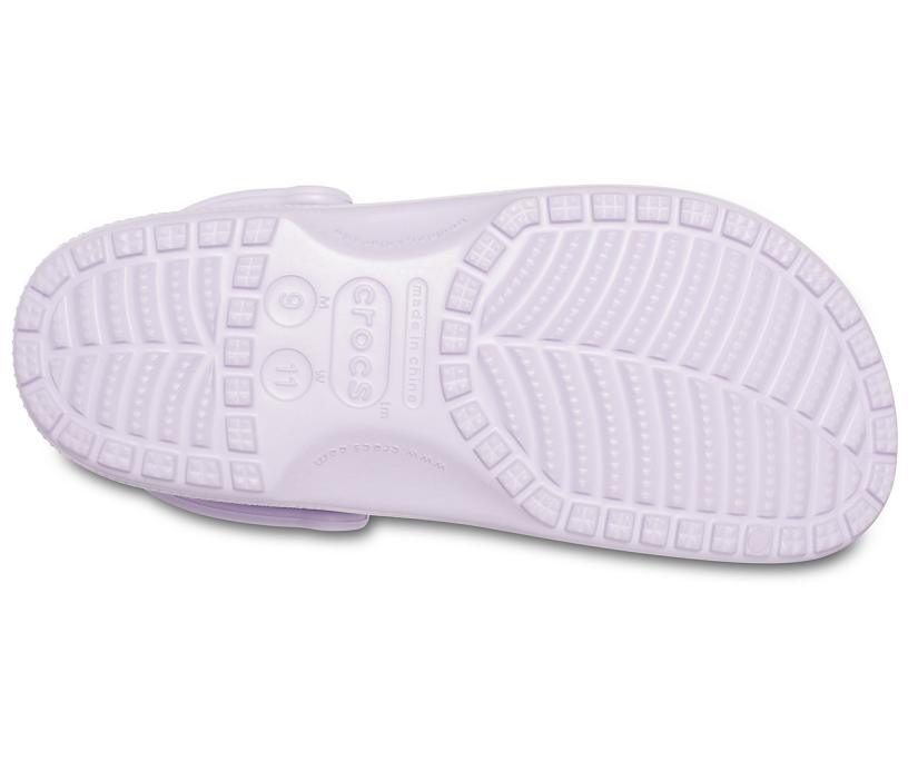 Women/Men Classic Clog Lavender | Crocs Clogs