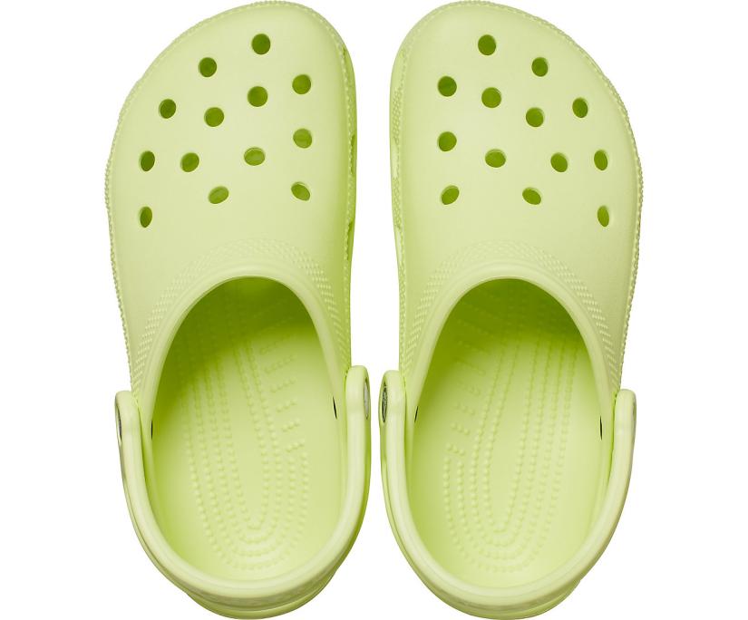 Women/Men Classic Clog Lime Zest | Crocs Clogs