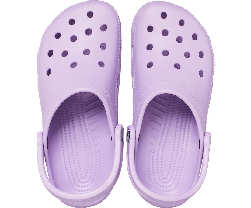 Women/Men Classic Clog Orchid | Crocs Clogs