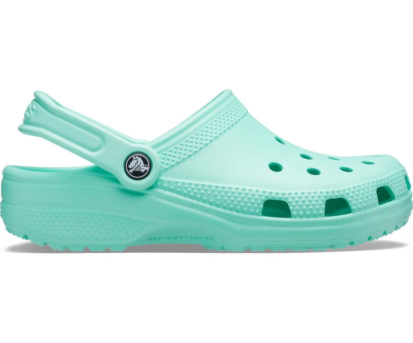 Women/Men Classic Clog Pistachio | Crocs Clogs