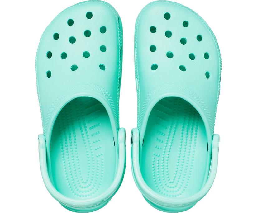 Women/Men Classic Clog Pistachio | Crocs Clogs