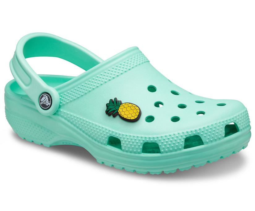 Women/Men Classic Clog Pistachio | Crocs Clogs