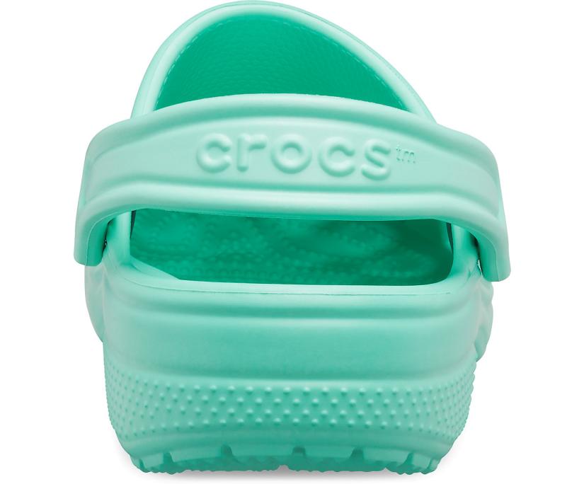 Women/Men Classic Clog Pistachio | Crocs Clogs