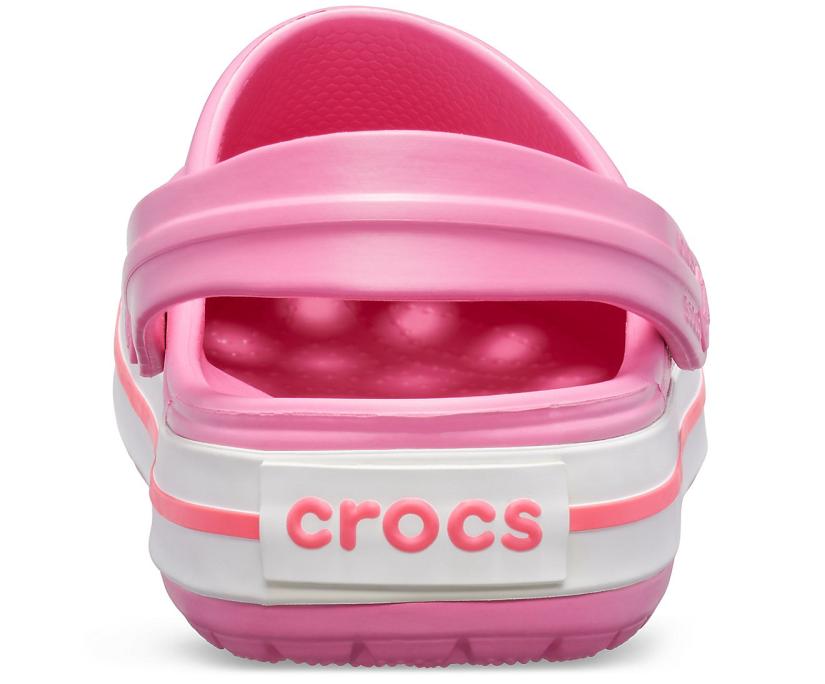 Women/Men Crocband™ Clog Pink Lemonade / White | Crocs Clogs