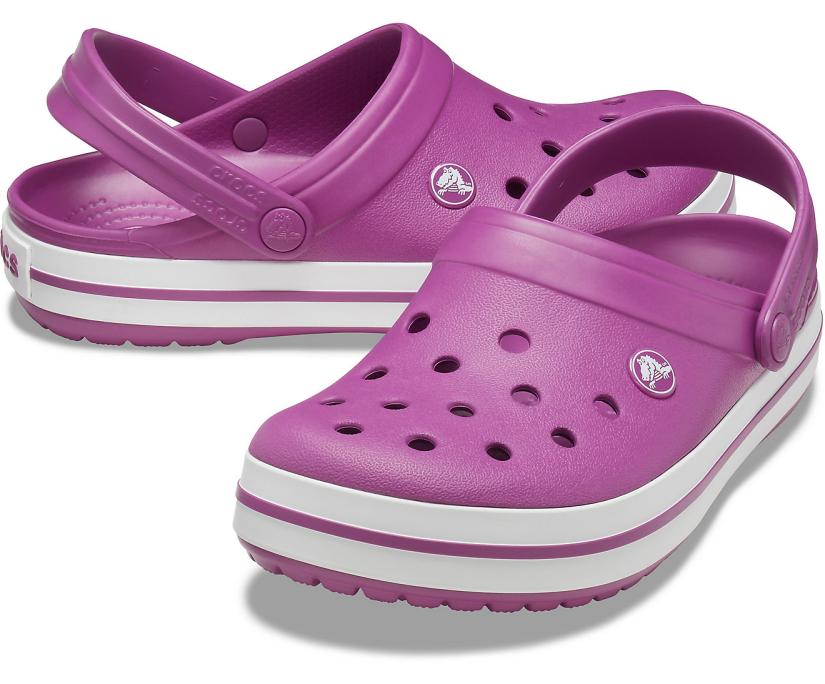 Women/Men Crocband™ Clog Viola | Crocs Clogs