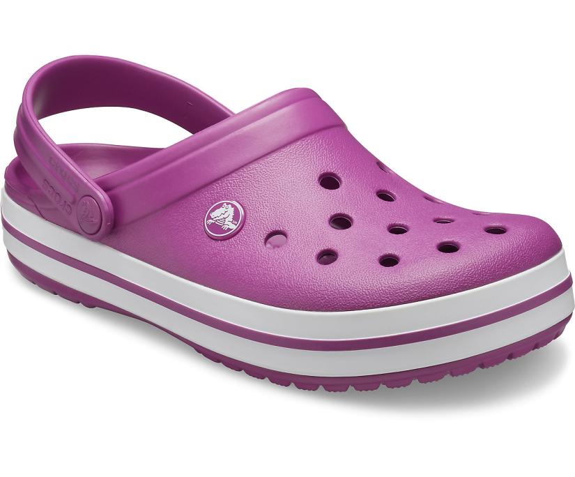 Women/Men Crocband™ Clog Viola | Crocs Clogs