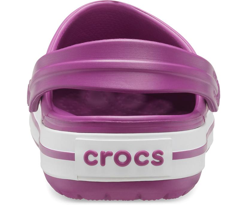 Women/Men Crocband™ Clog Viola | Crocs Clogs